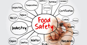 Who is responsible for food safety in a catering operation?