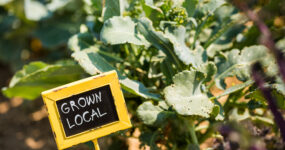 Smart Strategies to Keep Menu Costs Under Control